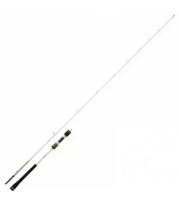 canas daiwa megaforce jigging