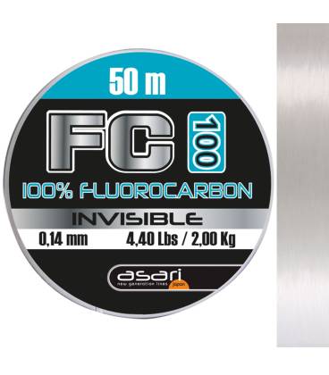 fluorocarbon asari 0.24 mm.