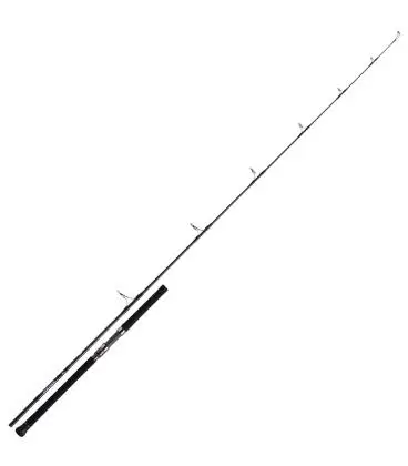 canas daiwa saltiga spinning