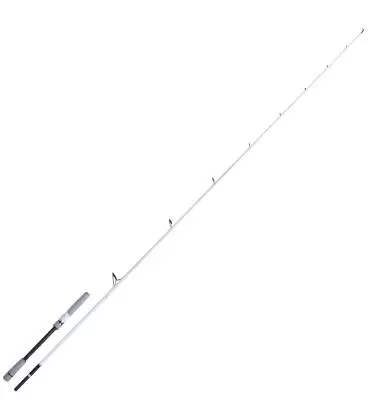 canas shimano stradic sea bass