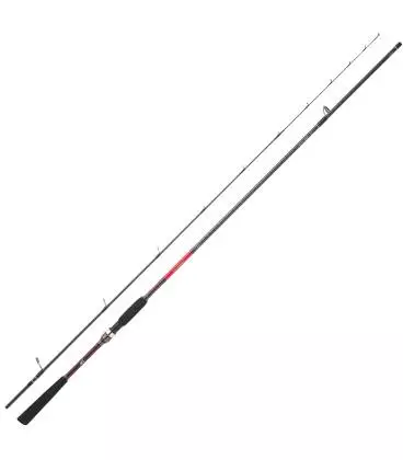 canas daiwa saltist seabass