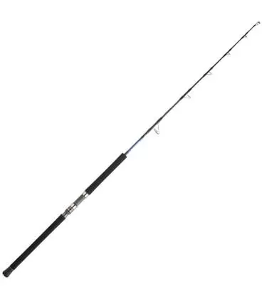 canas daiwa saltiga jigging