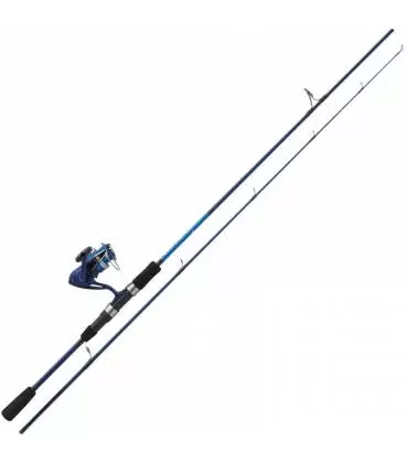 Combo Spinning Daiwa D-Wave