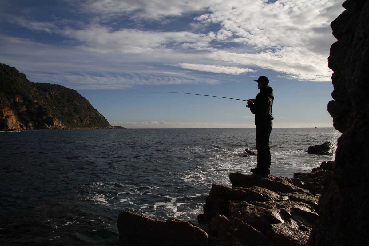 Cómo seleccionar el largo adecuado para tu caña de pescar?