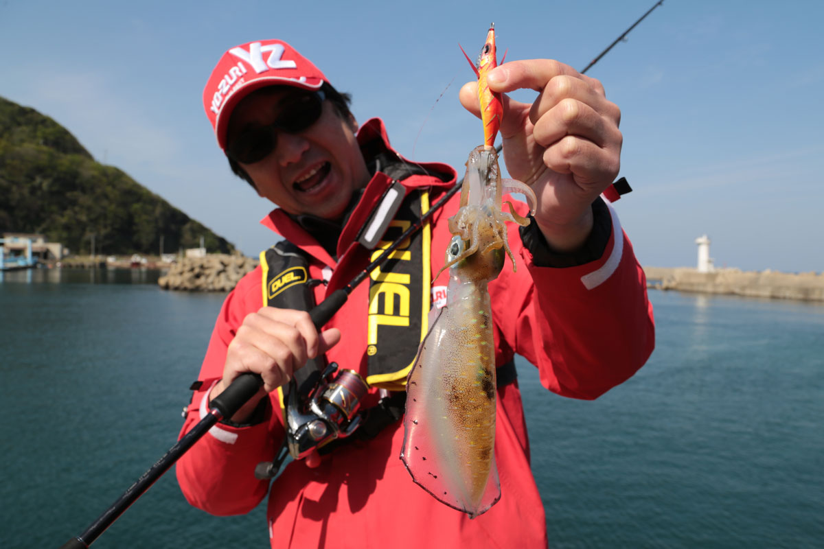 pesca del calamar eging yo-zuri