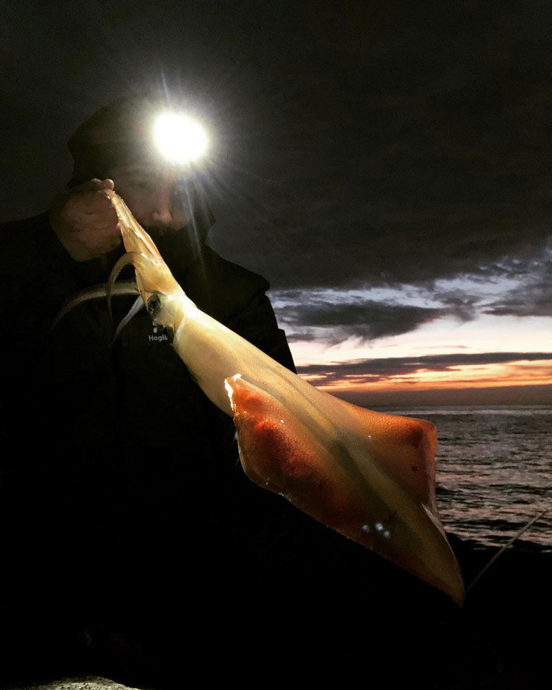 Eging, la pesca de calamares · Blog de pesca · Álvarez